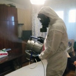 Дезинфекция от клопов в Боровичах