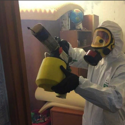 Уничтожение клопов в квартире. Боровичи